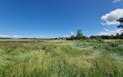 Ville et campagne